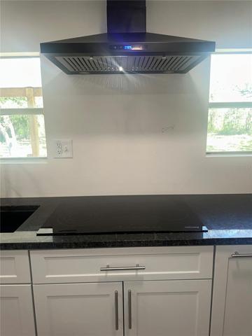 cooktop with hood