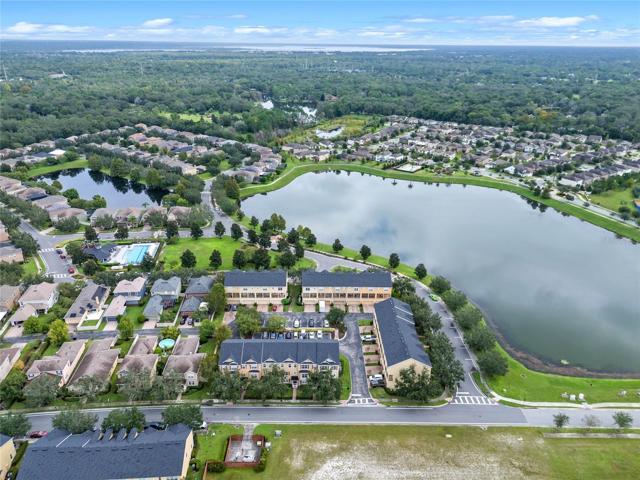 Pond view
