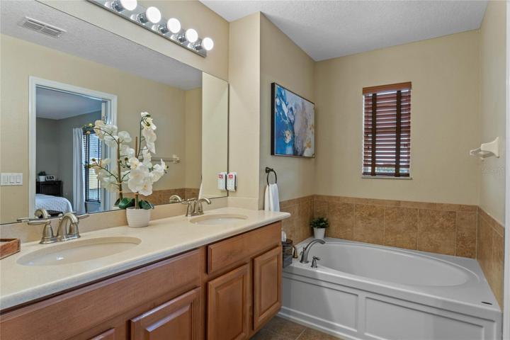 Master bath vanity & garden tub