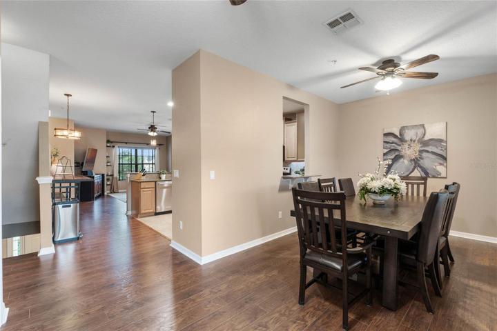 Dining/Kitchen/Living layout