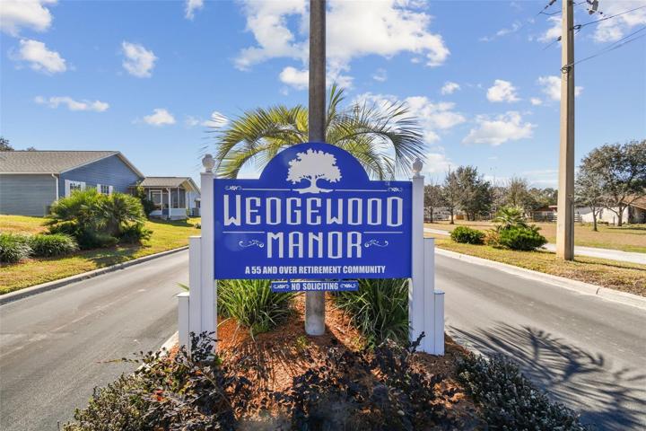 tree-lined peaceful neighborhood