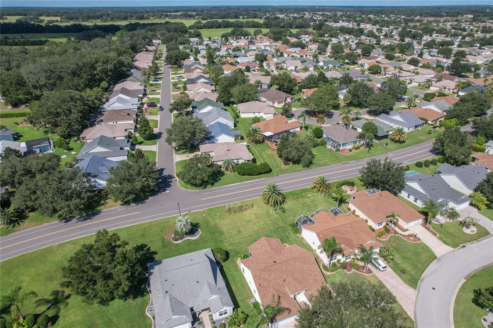 Drone of Neighborhood