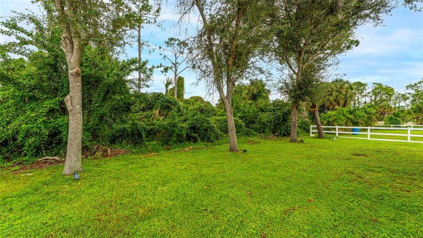Private back yard with landscape lighting and green and wooded views, imagine relaxing by a pool