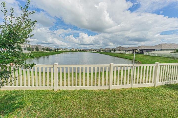 Pond View