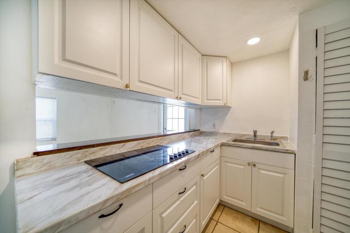Mother-In-Law Suite Kitchenette