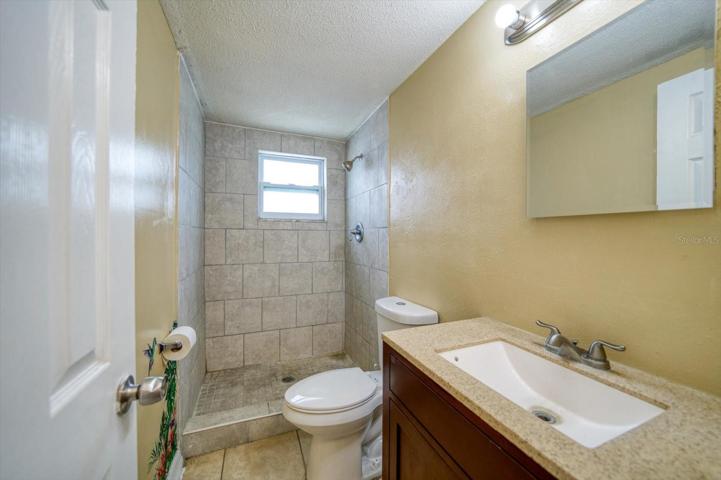 Mother-In-Law Suite Bathroom