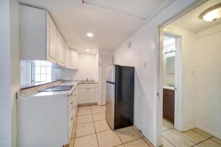 Mother-In-Law Suite Kitchenette