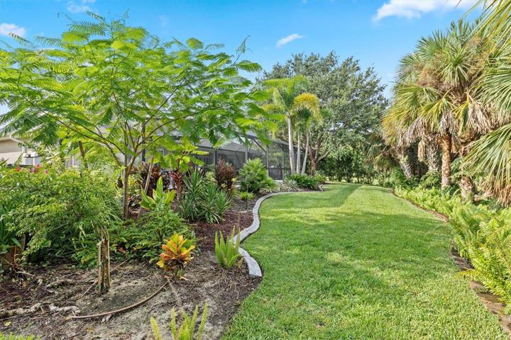 Rear Yard