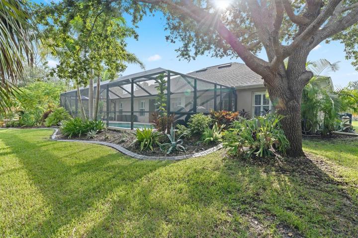 Rear Yard