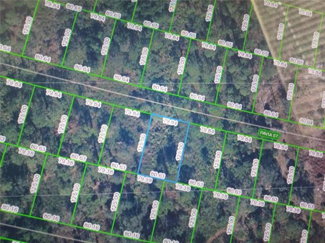 Pavia St lot highlighted in blue