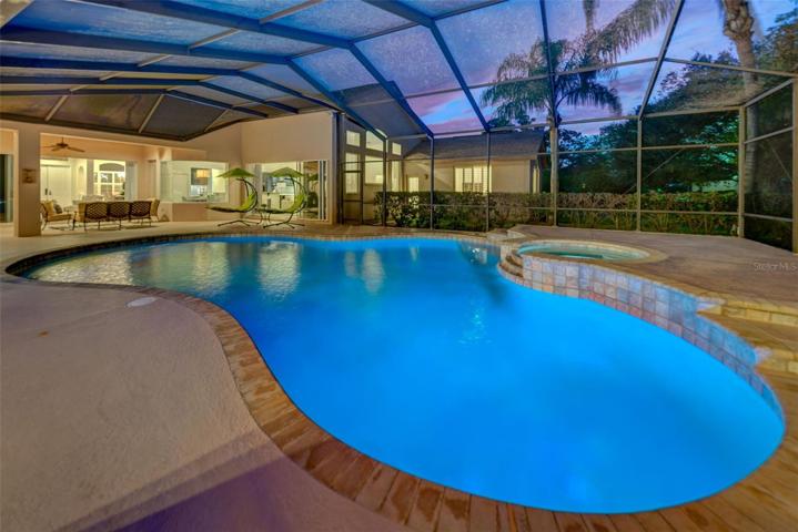 Lanai/Pool/Spa