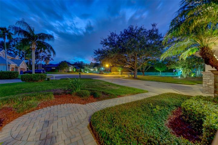 Frontyard