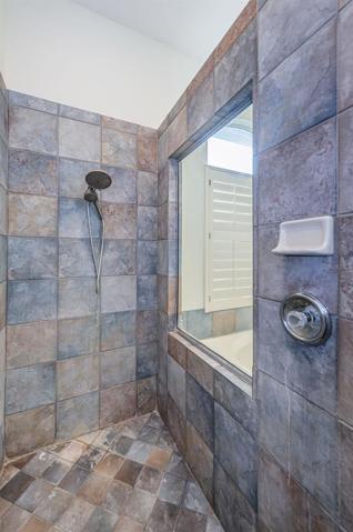 Master Bath Shower
