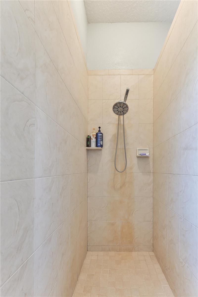 Master shower