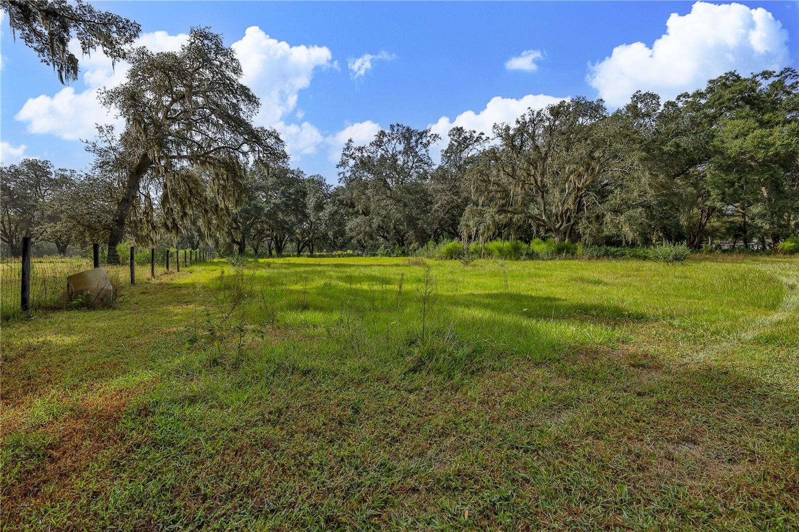 Beautiful pastures