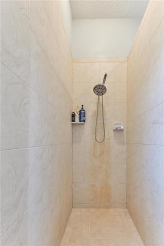 Master shower