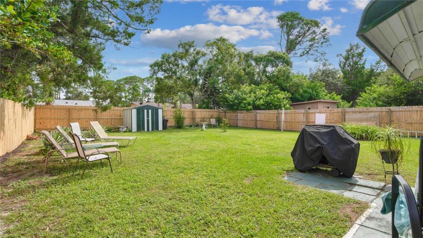 Backyard