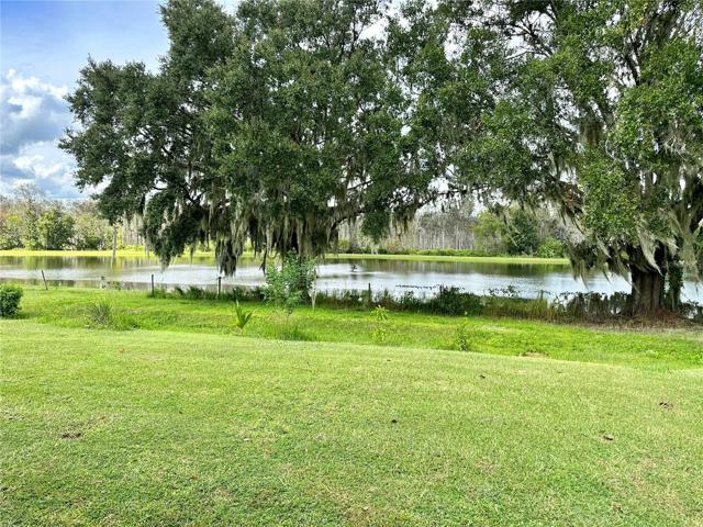 Back Yard View