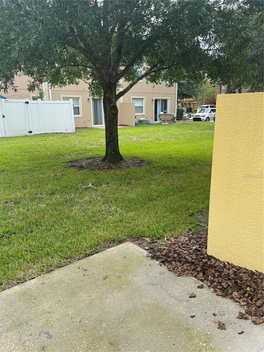 Back Patio