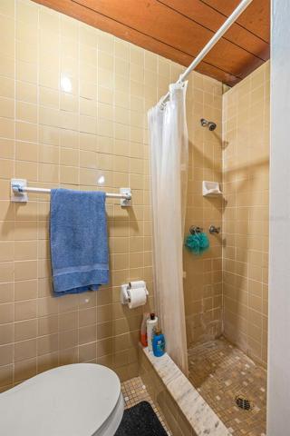 Secondary bath with shower and toilet.
