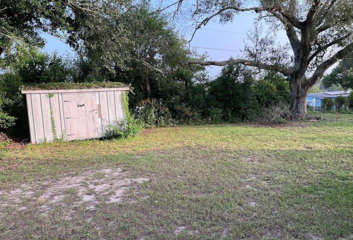 Back yard