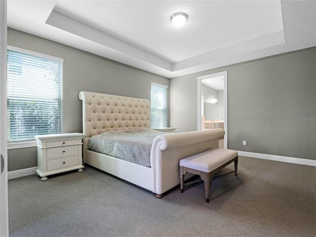 Downstairs owners suite