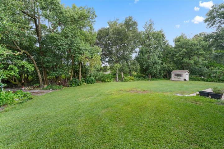 LARGE LOT