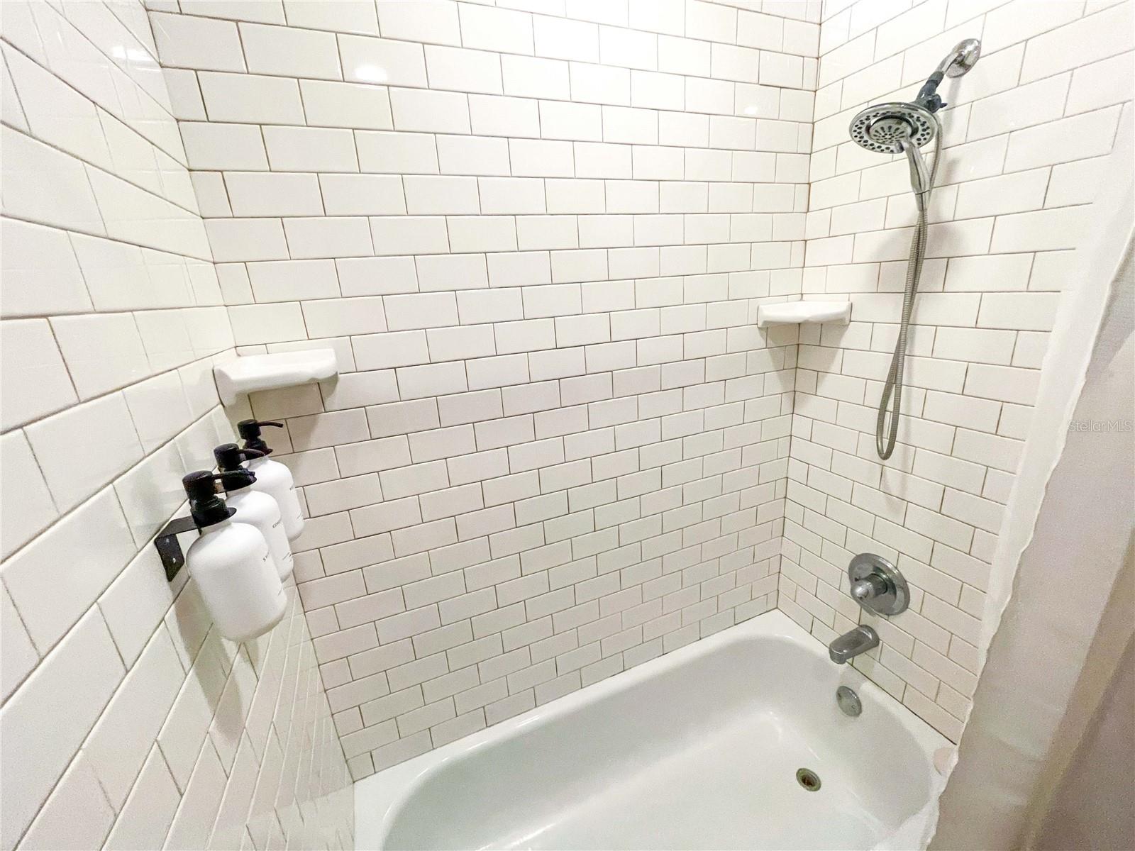Guest bathroom (front of house)