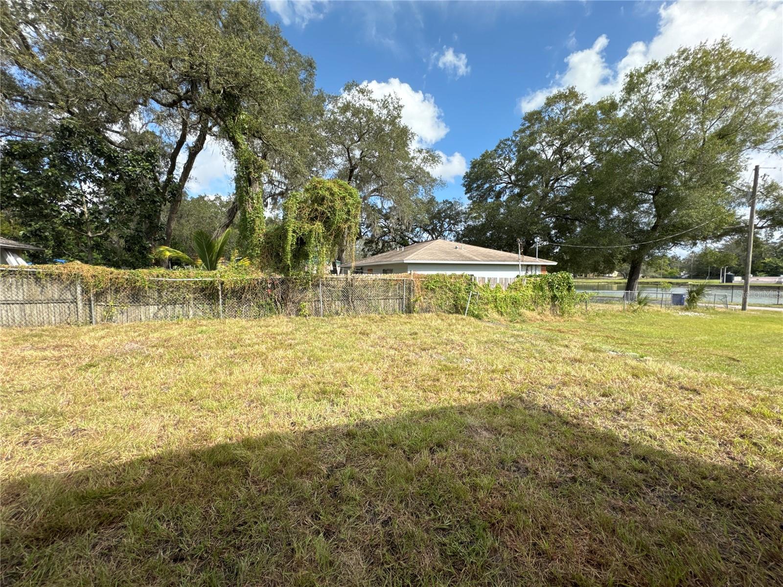 Backyard