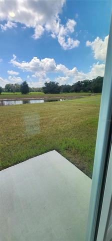 View from backyard