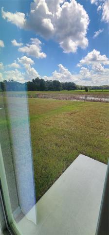 View from backyard