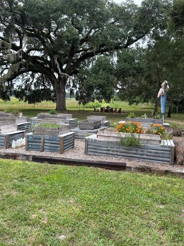 Communtiy Garden