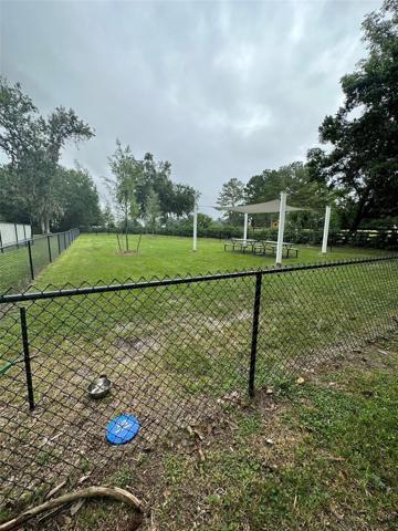 Dog Park