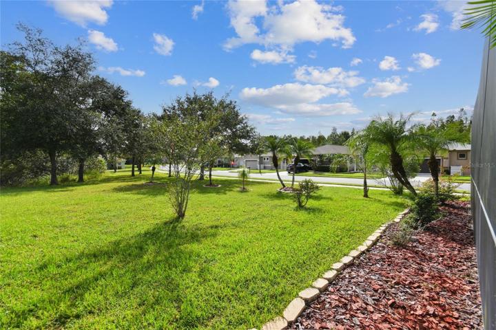 SIDE YARD VIEW