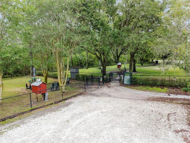 DOG PARK