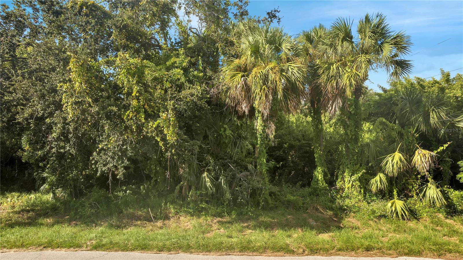 Port Charlotte, Florida 33948, 0 , 0 ,0,Land,For Sale,ACKERMAN,0,S5092432