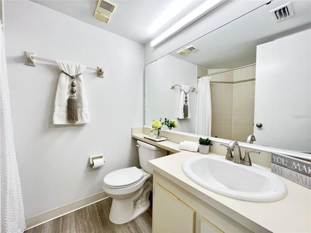 Beautiful Second Bathroom