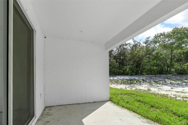 patio - yard