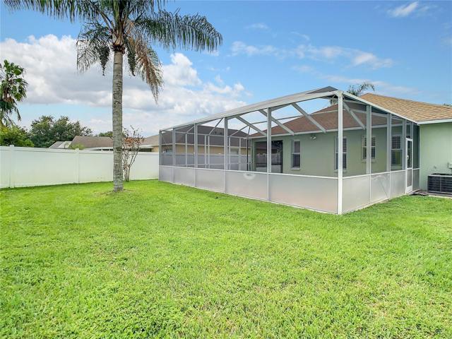 Backyard From the Left