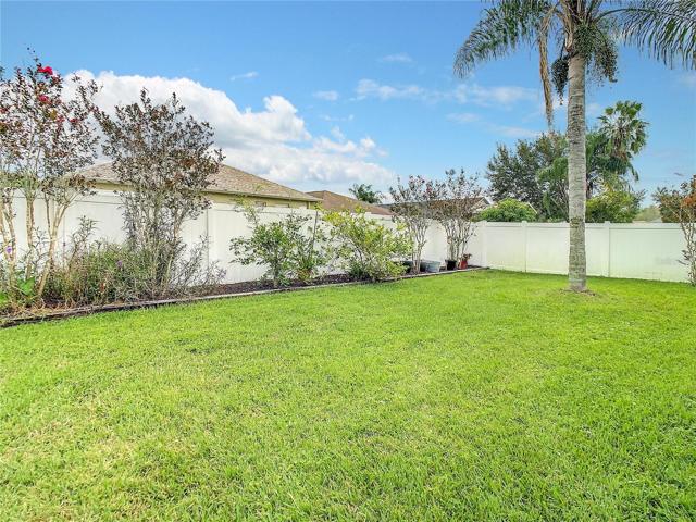 Backyard and Landscaping From the Left