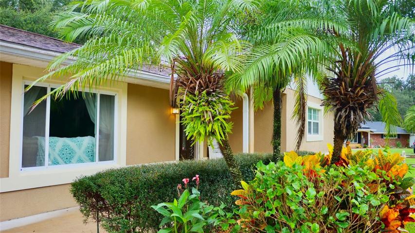 Front Landscaping