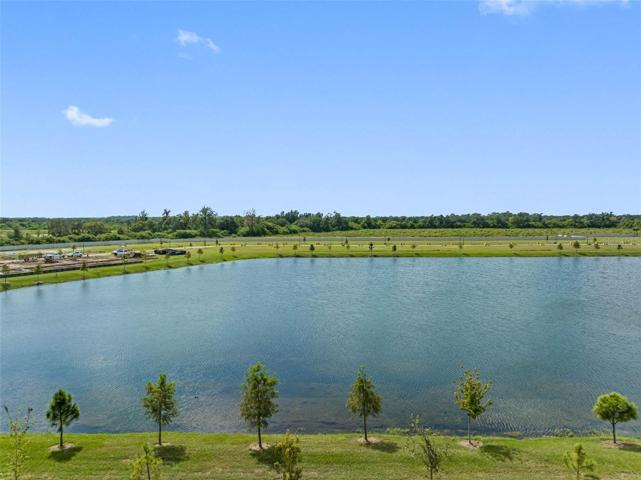 Pond View