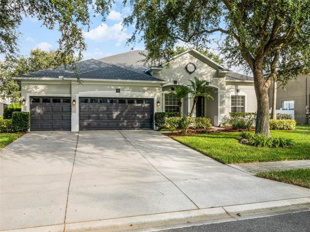 lots of driveway space