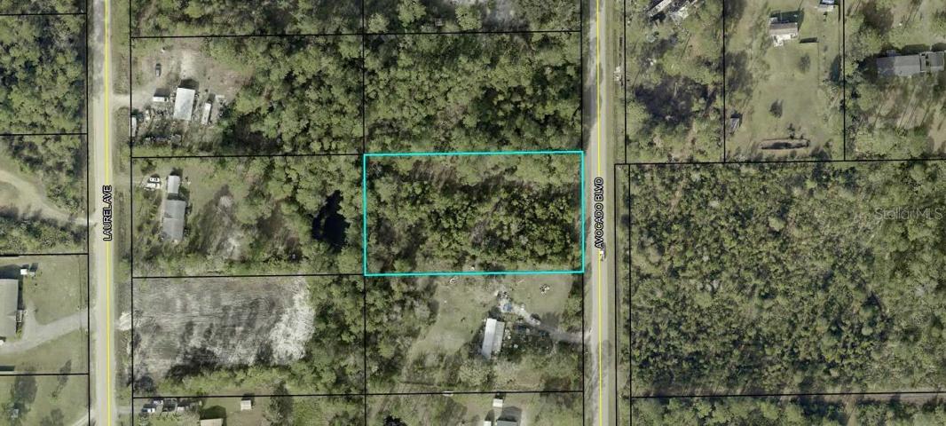 Picture taken from Flagler County Property Appraisers Page
