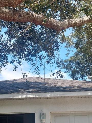 New roof