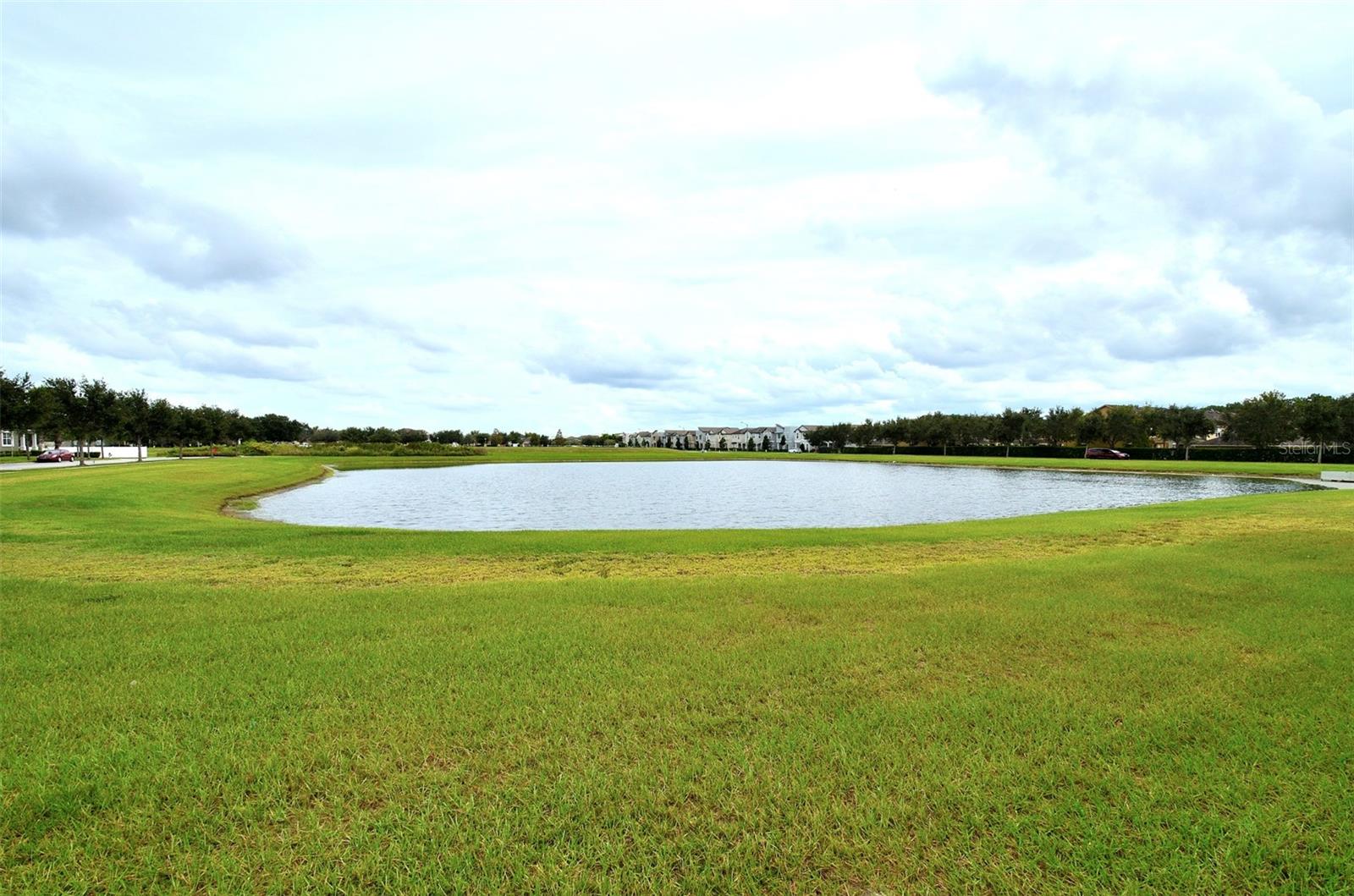 Lake view