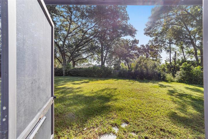 Back yard