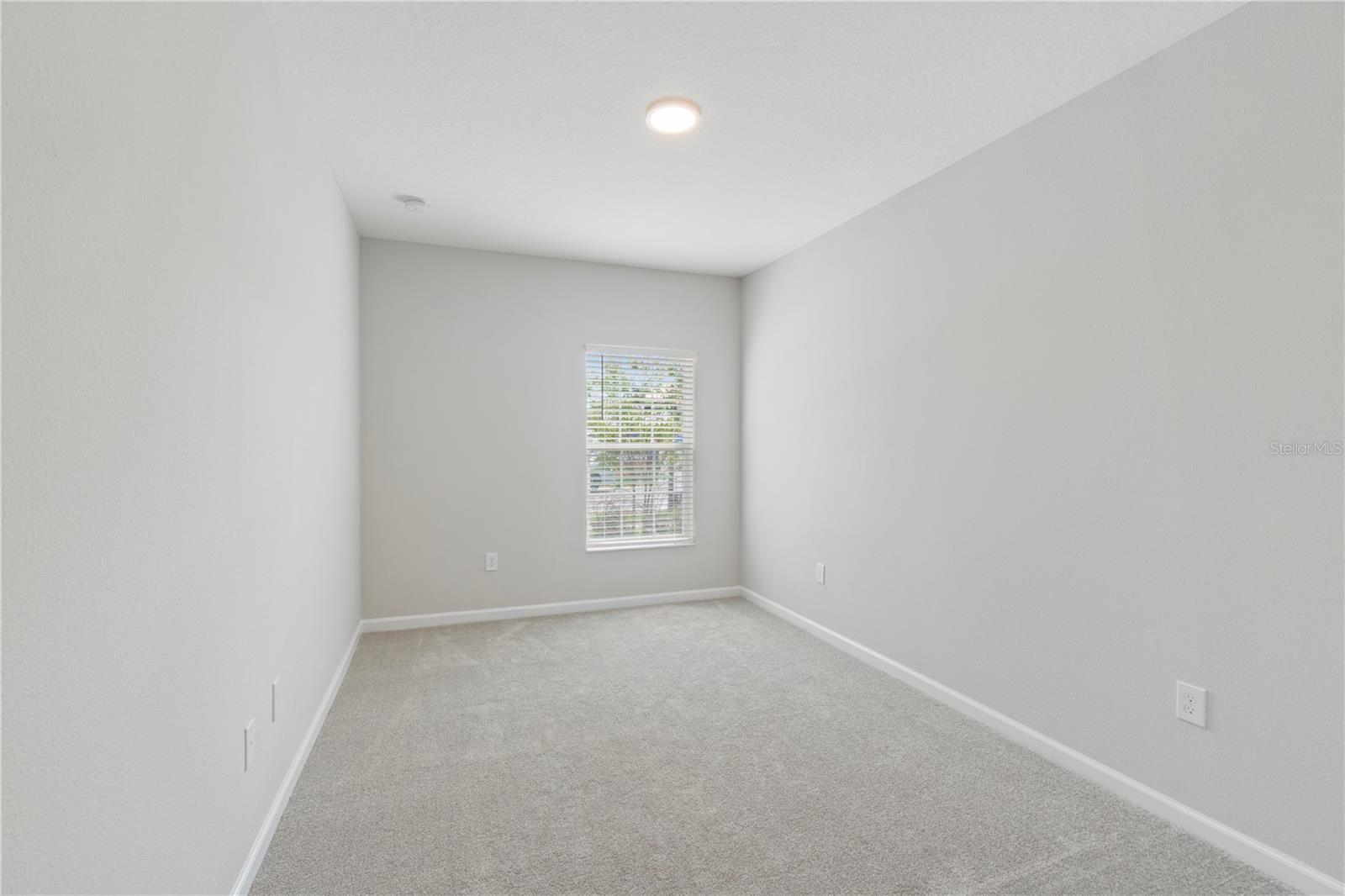 Downstairs Bedroom
