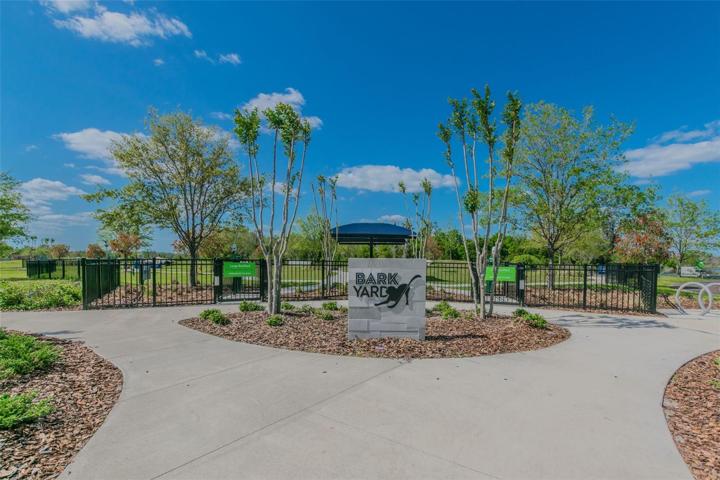 Dog Park