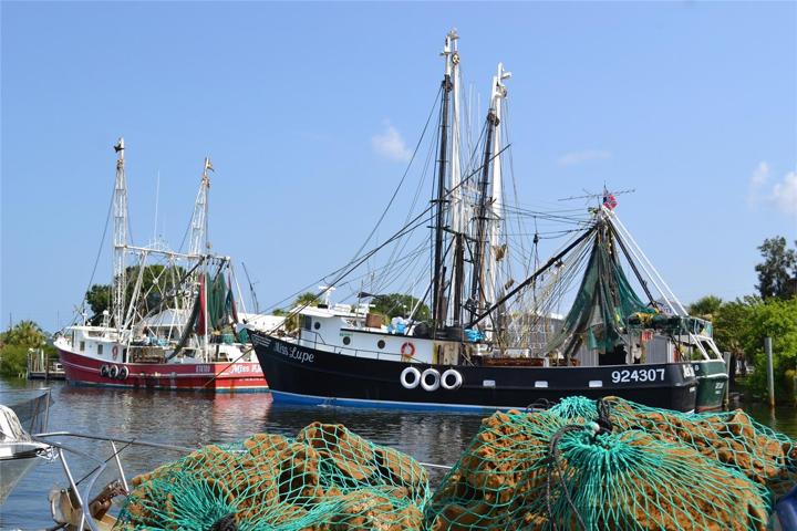 Sponge Docks Ships